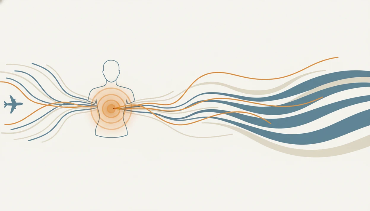 A simple illustration links airplane turbulence waves to body alarm signals that gradually settle.